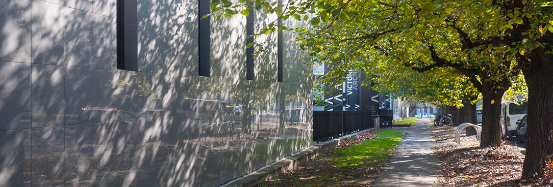 A photo of a footpath lined by trees