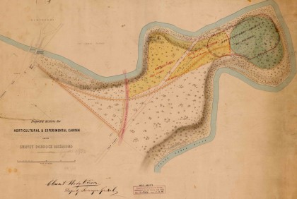 The plan was prepared to show the boundaries of the new ‘Horticultural and Experimental Garden’ created by the Horticultural Society of Victoria