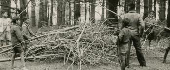 Boys with a pile of sticks 